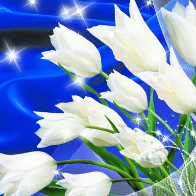 Наталья Стужук