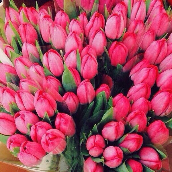 Татьяна Маркова