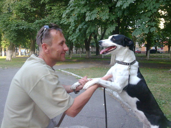 Василий Механиков