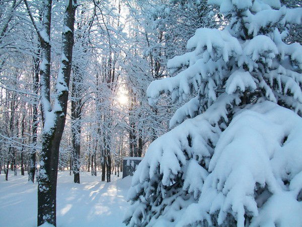Гккп Павлодар Геокарта Отдела Земельных