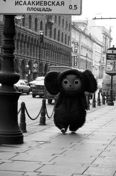 Александр Р