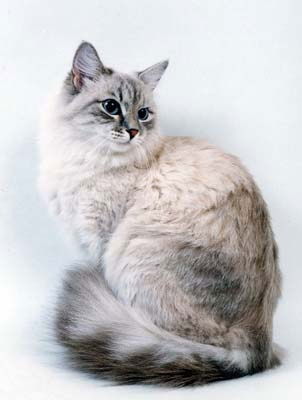 Виктория Еськова