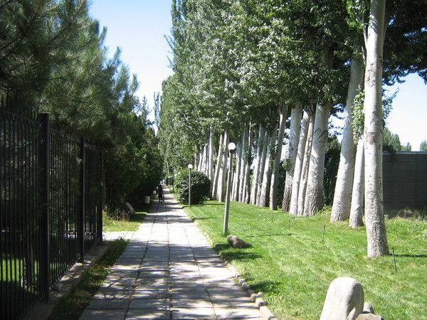 Владислав Шишкин