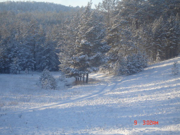 Жанна Москвитина