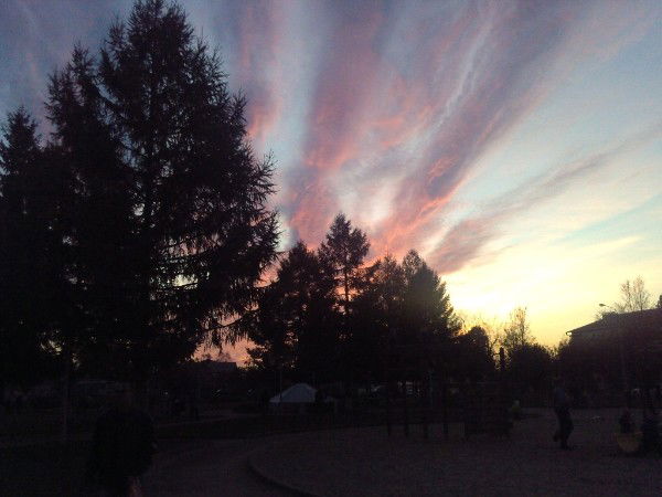 Оксана Куреевская