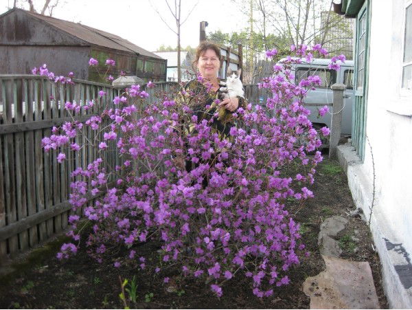 Надежда Гришанина