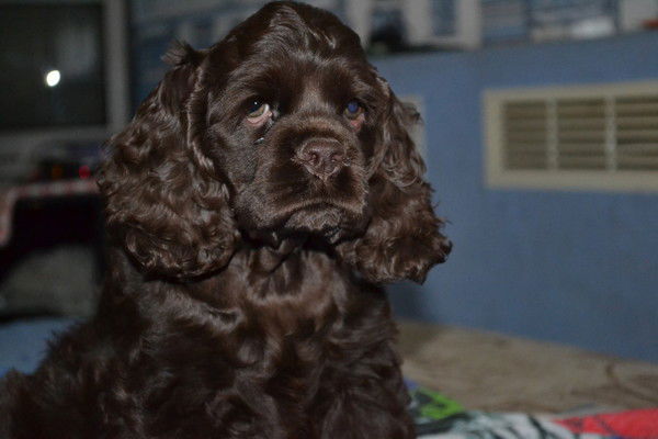 Лилия Коршикова