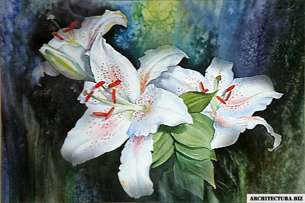 Валерия Жменя