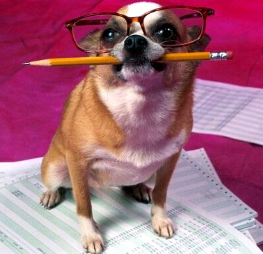 Инна Жирова