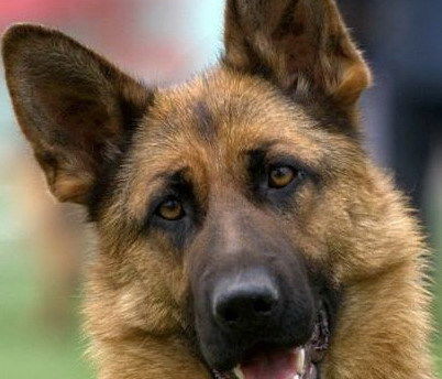 Михаил Синьков21