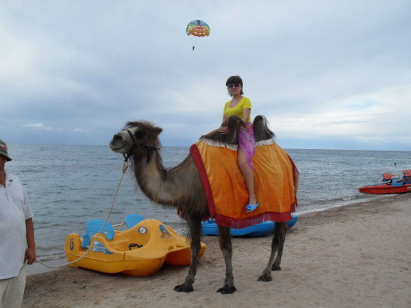 Анна Васильева