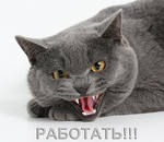 Архиепископ Церкви Тзинча И Минета