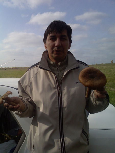 Николай Прохов