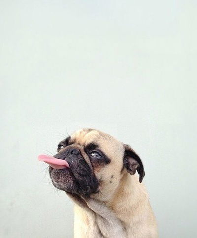 Зульфия Салихова