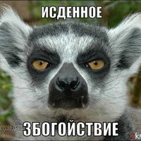 Данил Денисов