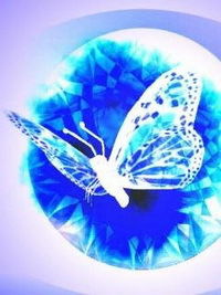 Татиана Шевченко