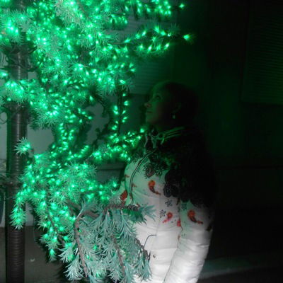 Екатерина Дедкова