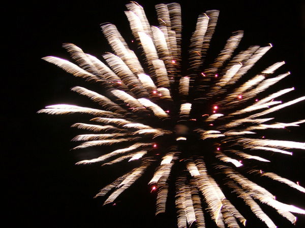 Ольга Максимова