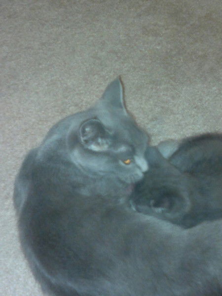 Оксана Птахова