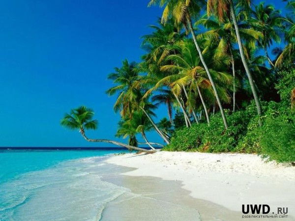 Денис Макаров