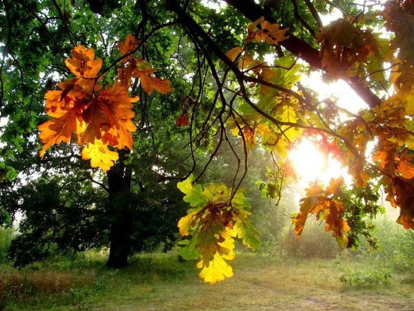 Инна Праксина