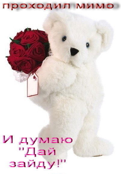 Дина Бабаева