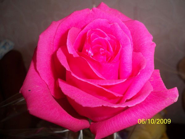 Татьяна Сницеренко