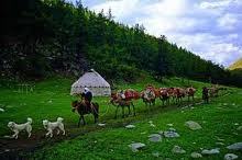 Гулжанар Абдуманапова