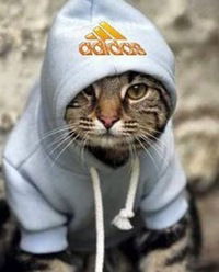 Дима Батаев