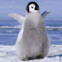 Настя Краснова