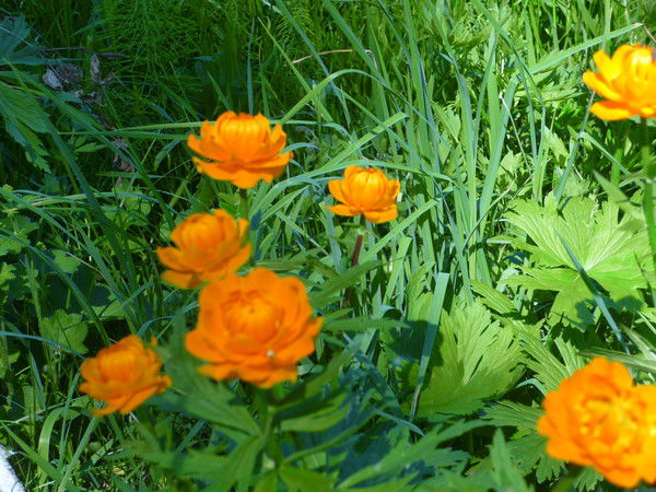 Любовь Вторыгина