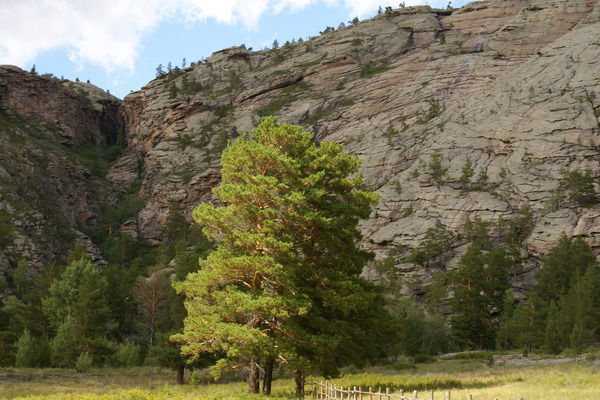 Овп Каркаралы