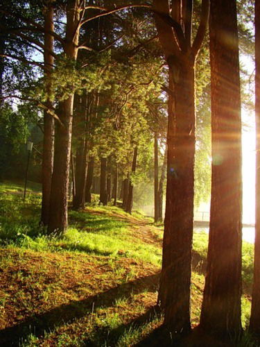 Эльвира Галева