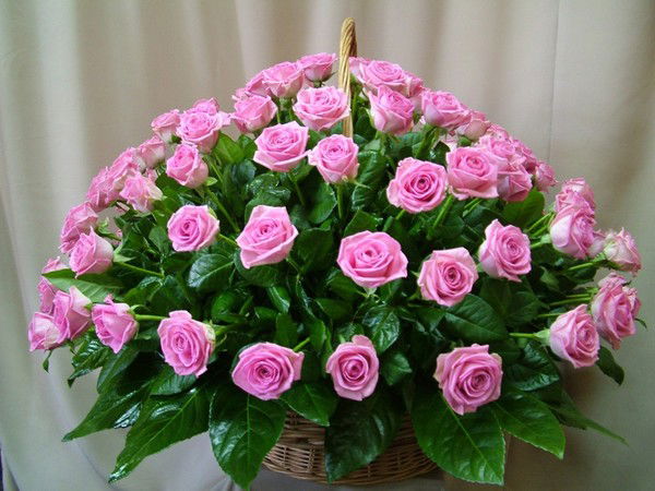 Ольга Васильевна Белобородова