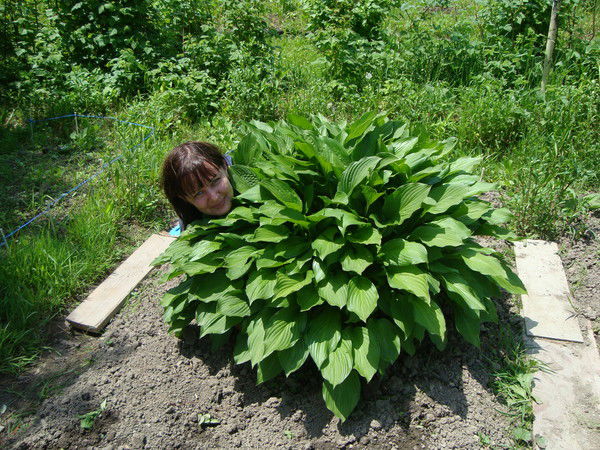 Татьяна Рыженкова