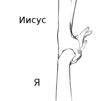 Снежана Усенко