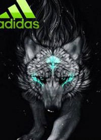 Андрей Белоголовый