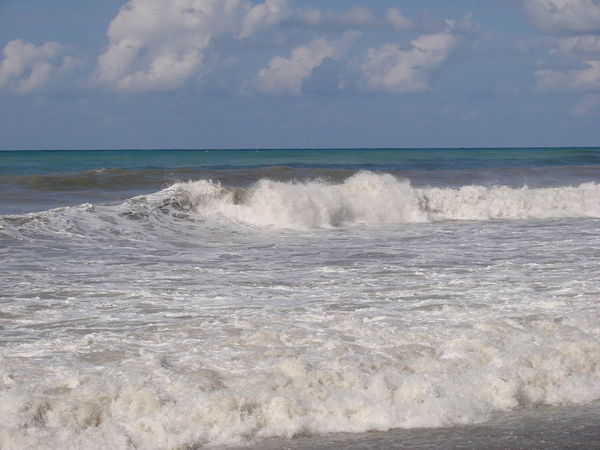 Вера Сипцова