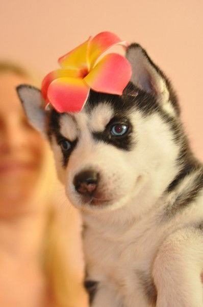 Ирина Иринка