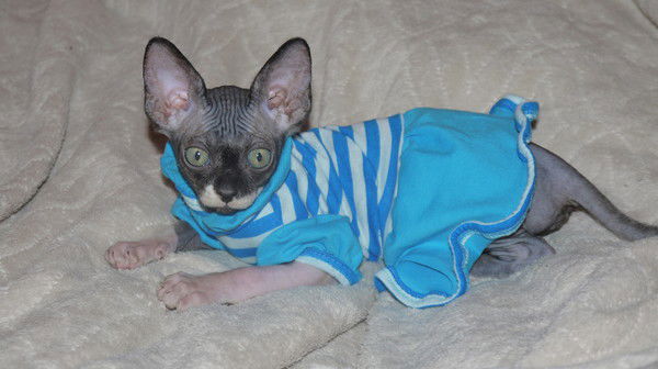 Татьяна Прибылова