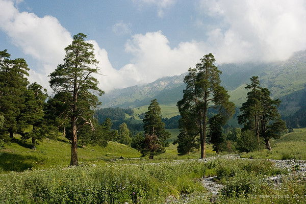 Ержигит Рахманов