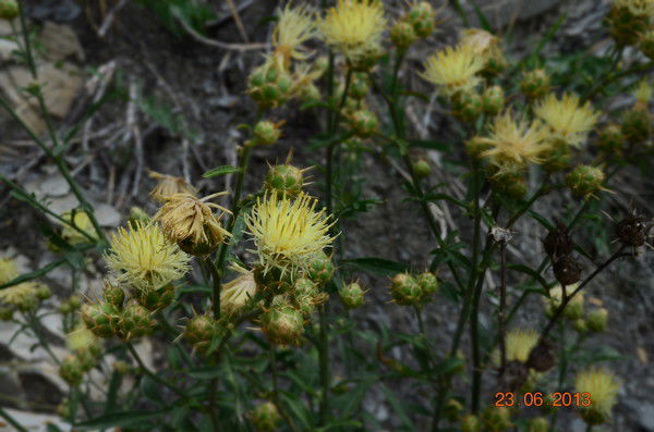 Валерий Тиунов