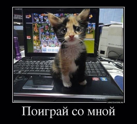 Тимoffей Гороховский