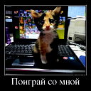 Тимoffей Гороховский