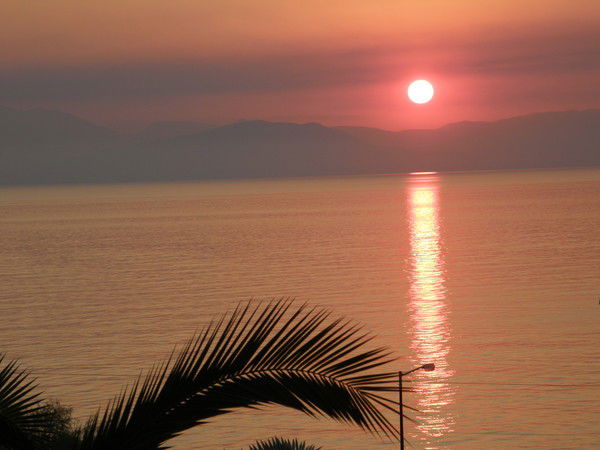 Юлия Ахмерова