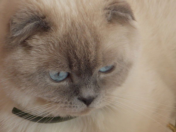 Татьяна Николаева