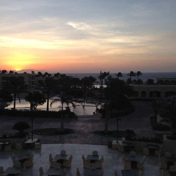 Лариса Геворкян