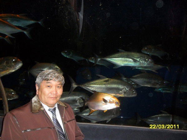 Даулет Наурзалиев