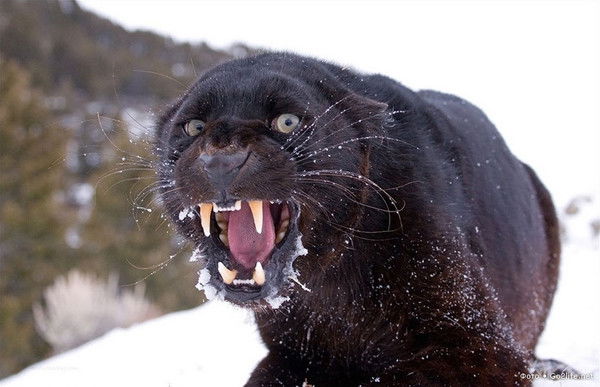 Зинаида Юртаева