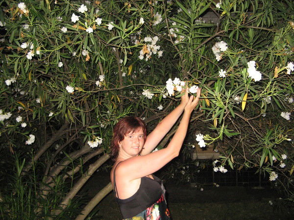 Елена Голованова